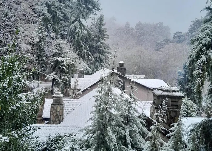 Hotel Grand Ahtamar *